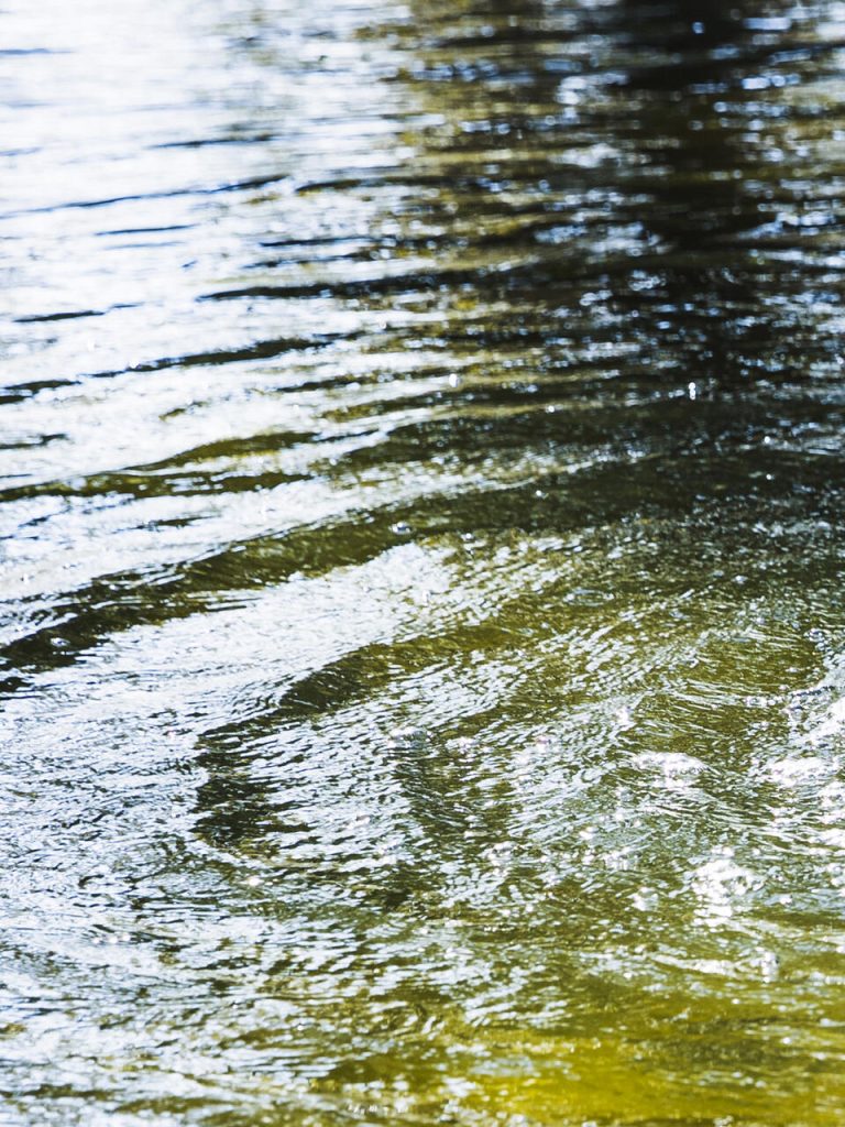 Environnement – en tête Environnement - en tête